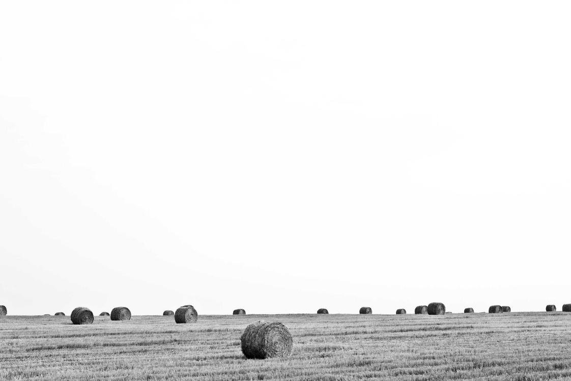 Et repudiandae enim odio image 1